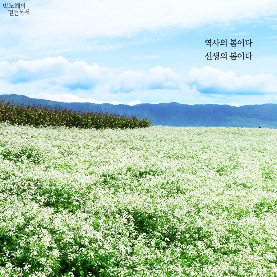''You Are My Spring'' Dizisinin İlk Fragmanı Yayınlandı