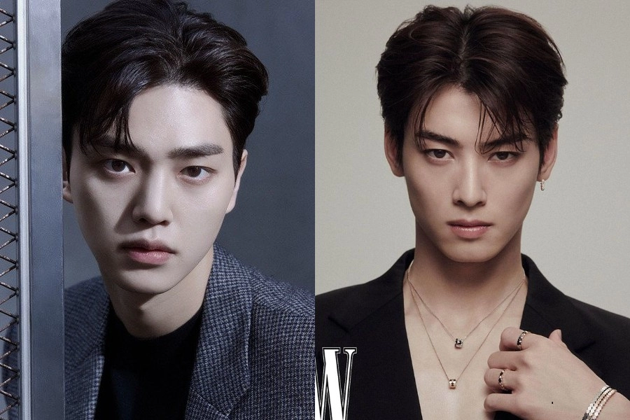 Cha Eun Woo ve Song Kang'ın Oyunculukları Kötü Mü? [Netizen Yorumları]
