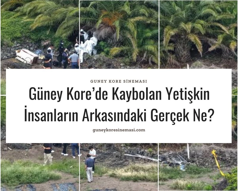 Güney Kore’de Kaybolan Yetişkin İnsanların Arkasındaki Gerçek Ne?