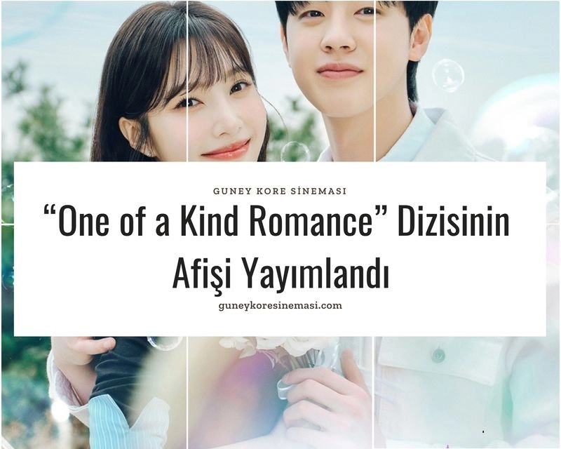 “One of a Kind Romance” Dizisinin Afişi Yayımlandı